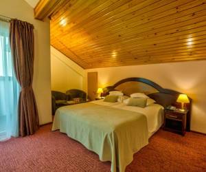 Cameră twin/dublă deluxe 4*